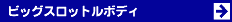 ビッグスロットルボディ