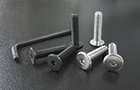 NUMBER PLATE BOLT SET