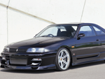 SKYLINE ECR33 tg