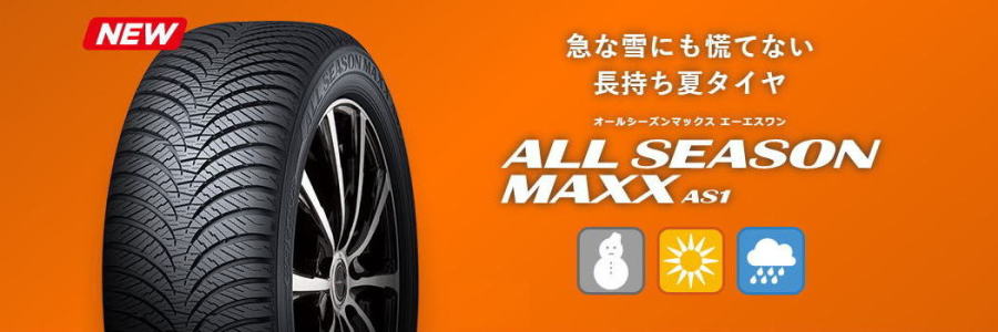 本物新品保証】 パンク保証付き4本 オールシーズン 185 55R16 83H ダンロップ オールシーズンマックス AS1 DUNLOP ALL  SEASON MAXX