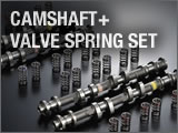 CAMSHAFT+ VALVE SPRING SET