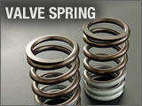 VALVE SPRING