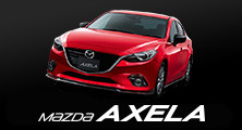 MAZDA AXELA PICKUP ITEMS