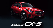 MAZDA CX-5 PICKUP ITEMS