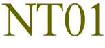 NT01