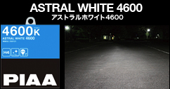アストラルホワイト4600