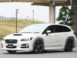 Image: VMG LEVORG