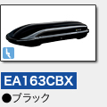 EA163CBXbubN